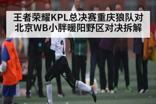 王者荣耀KPL总决赛重庆狼队对北京WB小胖暖阳野区对决拆解