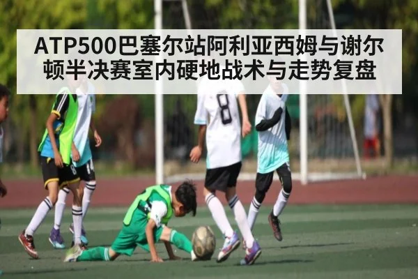 ATP500巴塞尔站阿利亚西姆与谢尔顿半决赛室内硬地战术与走势复盘