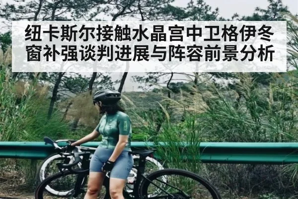 纽卡斯尔接触水晶宫中卫格伊冬窗补强谈判进展与阵容前景分析