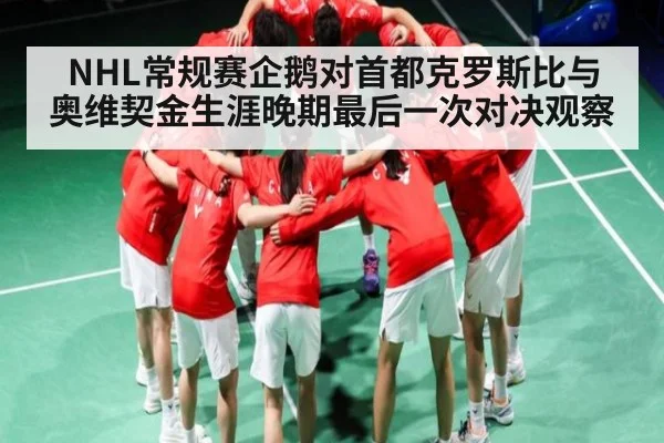 NHL常规赛企鹅对首都克罗斯比与奥维契金生涯晚期最后一次对决观察